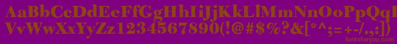 C651RomanBlackRegular Font – Brown Fonts on Purple Background