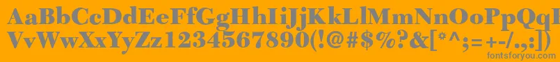 C651RomanBlackRegular Font – Gray Fonts on Orange Background