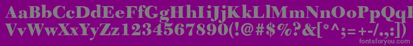 C651RomanBlackRegular Font – Gray Fonts on Purple Background