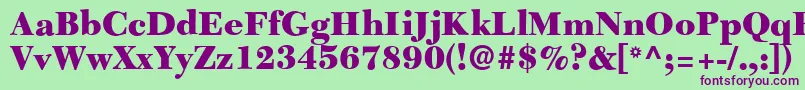 C651RomanBlackRegular Font – Purple Fonts on Green Background