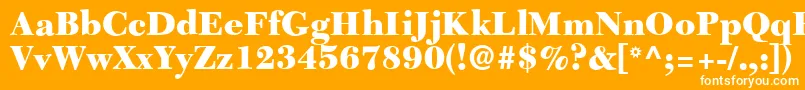 C651RomanBlackRegular Font – White Fonts on Orange Background