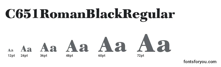 C651RomanBlackRegular Font Sizes