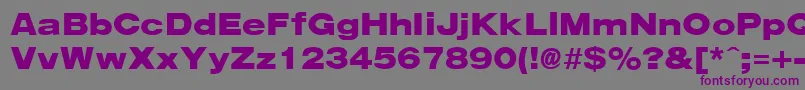 ArenaBlackExtended Font – Purple Fonts on Gray Background