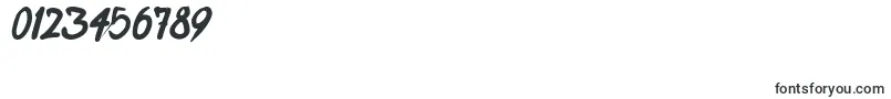 FightingWordzBoldItalic Font – Fonts for Numbers and Digits