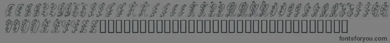 Tulips Font – Black Fonts on Gray Background