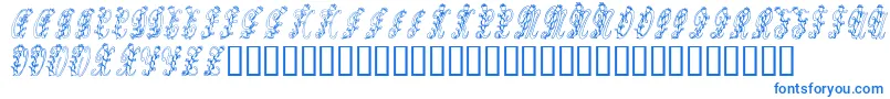 Tulips Font – Blue Fonts