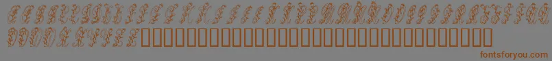 Tulips Font – Brown Fonts on Gray Background