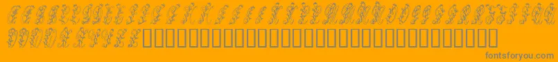 Tulips Font – Gray Fonts on Orange Background