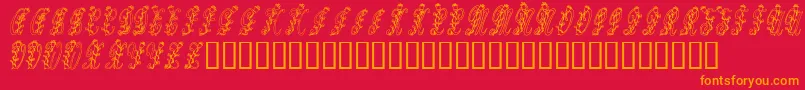 Tulips Font – Orange Fonts on Red Background