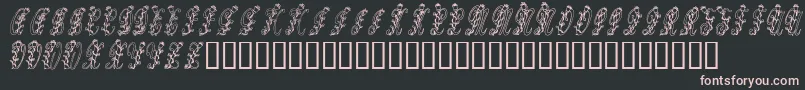 Tulips Font – Pink Fonts on Black Background