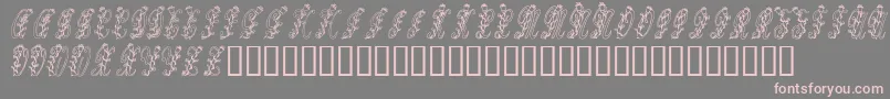 Tulips Font – Pink Fonts on Gray Background
