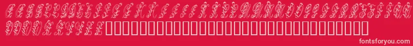 Tulips Font – Pink Fonts on Red Background
