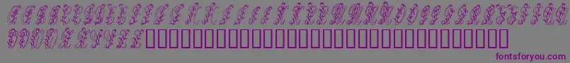 Tulips Font – Purple Fonts on Gray Background