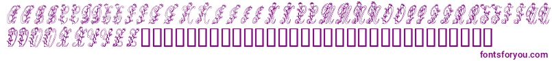 Tulips Font – Purple Fonts