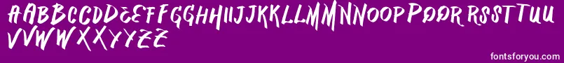 VtksMercado Font – White Fonts on Purple Background