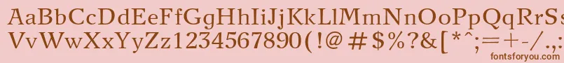 NewjournalRegular Font – Brown Fonts on Pink Background