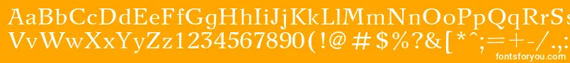 フォントNewjournalRegular – オレンジの背景に白い文字