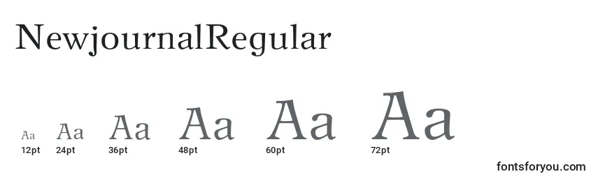 Размеры шрифта NewjournalRegular