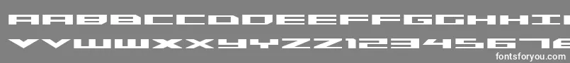 Czcionka TriremeExpandedBold – białe czcionki na szarym tle
