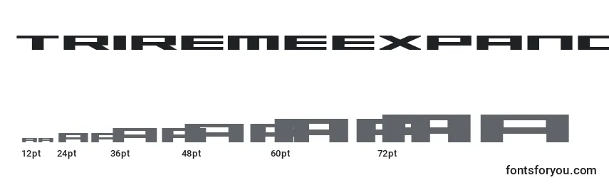 Размеры шрифта TriremeExpandedBold