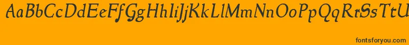 NewstyleItalic Font – Black Fonts on Orange Background