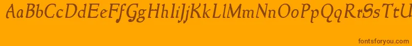 NewstyleItalic Font – Brown Fonts on Orange Background