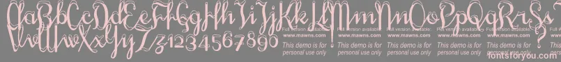 SnowhouseDemo Font – Pink Fonts on Gray Background