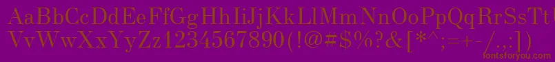 NewStandardUnicode Font – Brown Fonts on Purple Background