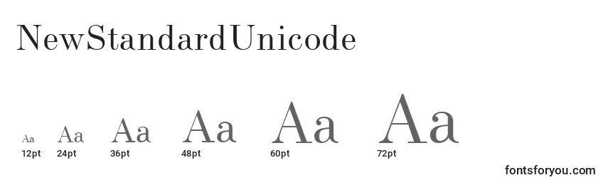 Размеры шрифта NewStandardUnicode