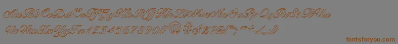 BallantinesoutlineXboldRegular Font – Brown Fonts on Gray Background