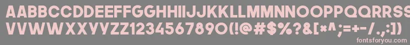 Thenextfont Font – Pink Fonts on Gray Background