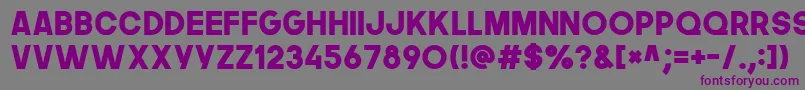 Thenextfont Font – Purple Fonts on Gray Background