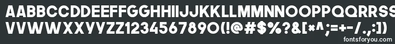 フォントThenextfont – 白い文字