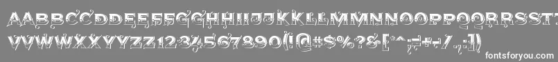 フォントAgreloys1 – 灰色の背景に白い文字