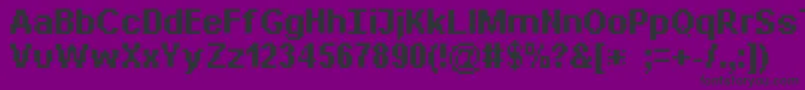 Bitdaylong11srb Font – Black Fonts on Purple Background