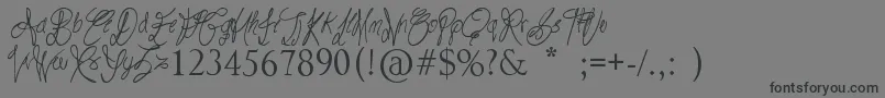 RoadTrip Font – Black Fonts on Gray Background
