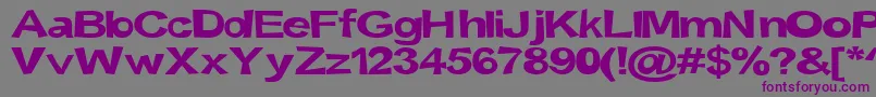Snott2000Bold-fontti – violetit fontit harmaalla taustalla