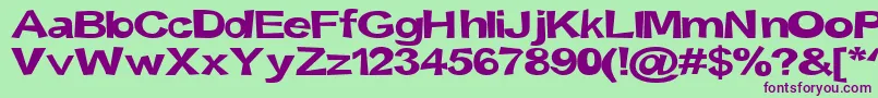 Snott2000Bold Font – Purple Fonts on Green Background