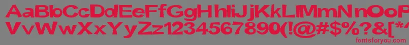 Snott2000Bold-Schriftart – Rote Schriften auf grauem Hintergrund