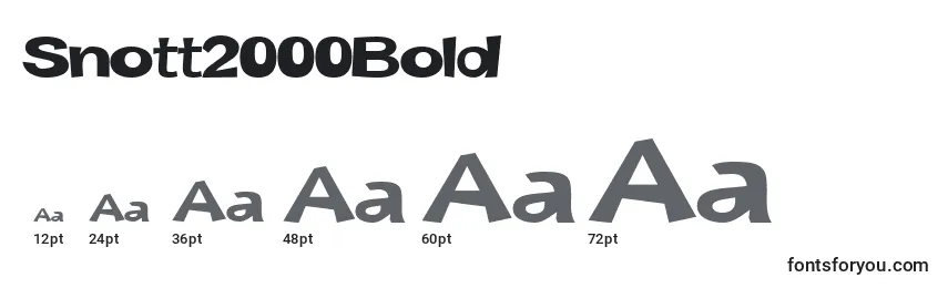 Snott2000Bold Font Sizes