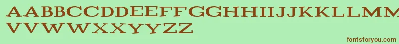 Playtitle1.1 Font – Brown Fonts on Green Background