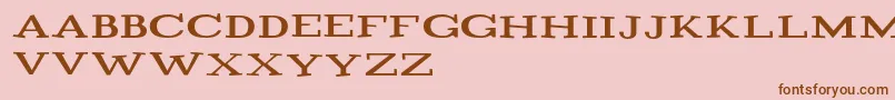 Playtitle1.1 Font – Brown Fonts on Pink Background