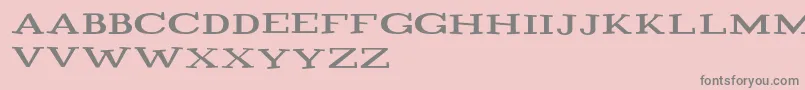 Playtitle1.1 Font – Gray Fonts on Pink Background