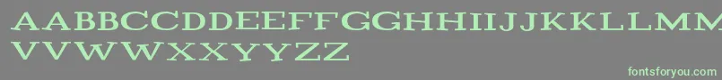 Playtitle1.1 Font – Green Fonts on Gray Background