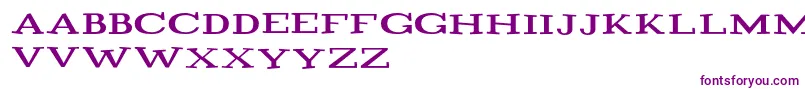 Playtitle1.1 Font – Purple Fonts on White Background