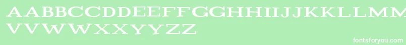 Playtitle1.1 Font – White Fonts on Green Background