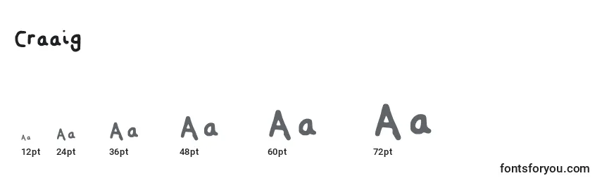 Craaig Font Sizes