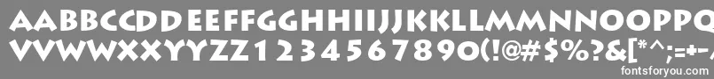 フォントLiddieBlack – 灰色の背景に白い文字