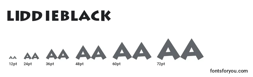 LiddieBlack Font Sizes