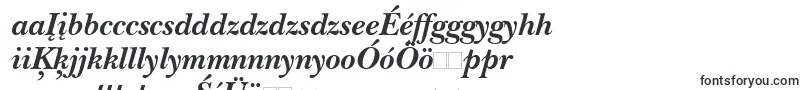 Шрифт NewbaskervillebttBolditalic – венгерские шрифты